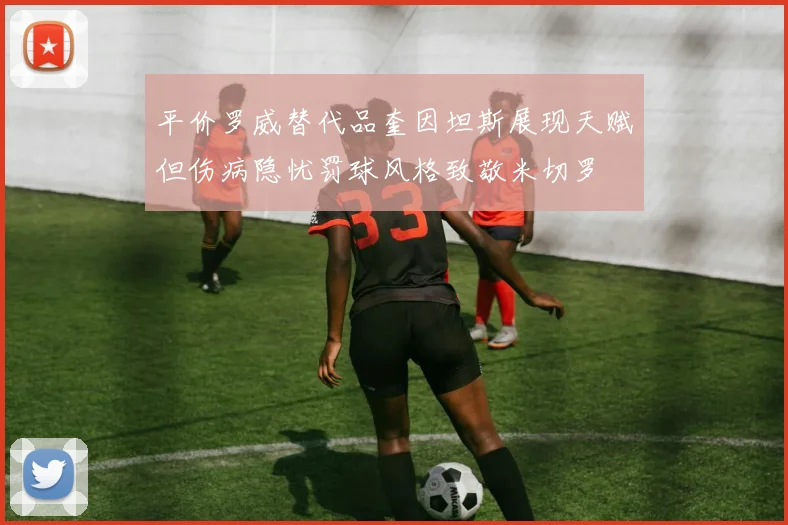 平价罗威替代品奎因坦斯展现天赋但伤病隐忧罚球风格致敬米切罗
