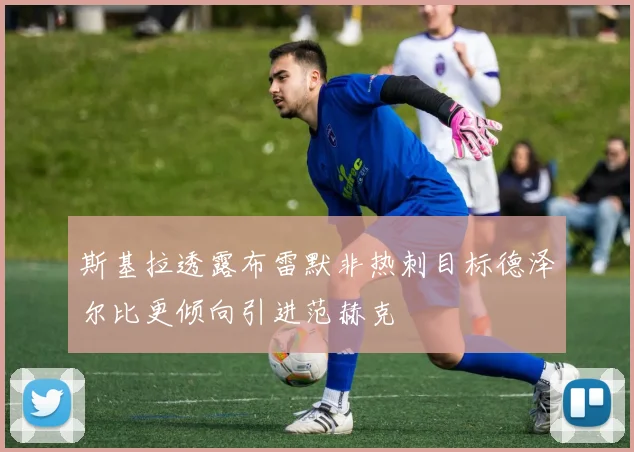 斯基拉透露布雷默非热刺目标德泽尔比更倾向引进范赫克